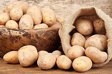 幸存者类Roguelite游戏《阿斯加德的陨落》Steam页面 年内发售